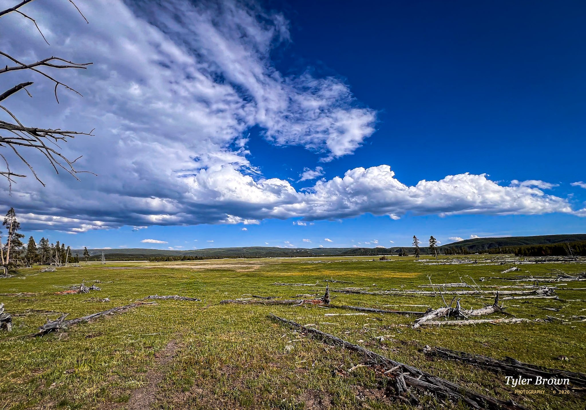 Landscape panorama